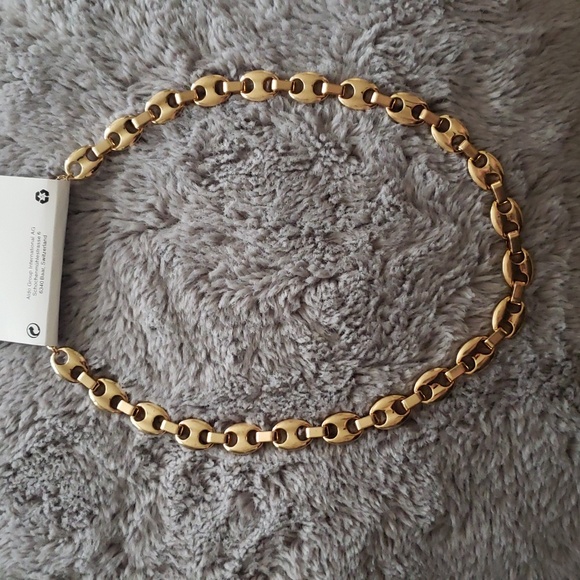 ALDO Pave Link Necklace - Picture 4 of 6